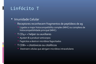 Linfócito T
 Imunidade Celular
 Receptores reconhecem fragmentos de peptídeos de ag
 Ligados a major histocompatibility complex (MHC) ou complexo de
histocompatibilidade principal (MHC).
 T CD4+ = helper ou auxiliares
 Ajudam B a produzir anticorpos
 Fagócitos a destruir micróbios fagocitados
 T CD8+ = citotóxicos ou citolíticos
 Destroem células que abrigam micróbios intracelulares
 