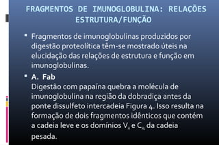  FRAGMENTOS DE IMUNOGLOBULINA: RELAÇÕES 
ESTRUTURA/FUNÇÃO
 Fragmentos de imunoglobulinas produzidos por
digestão proteolítica têm-se mostrado úteis na
elucidação das relações de estrutura e função em
imunoglobulinas.
 A. Fab
Digestão com papaína quebra a molécula de
imunoglobulina na região da dobradiça antes da
ponte dissulfeto intercadeia Figura 4. Isso resulta na
formação de dois fragmentos idênticos que contém
a cadeia leve e os domínios VH e CH1 da cadeia
pesada.
 