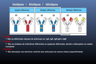 Isotipos / Alotipos / Idiotipos
• Isotipos
 São as diferentes classes de anticorpo ex: IgA, IgD, IgE,IgG e IgM
• Alotipos
 São os isotipos de indivíduos diferentes ou espécies diferentes, devido a alterações na cadeia
constante
• Idiotipos
 São alterações nos domínios variáveis dos anticorpos de mesma classe (especificidade)
 