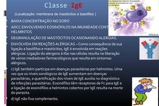 Classe IgE
 BAIXA CONCENTRAÇÃO NO SORO
 ADCC ENVOLVENDO EOSINÓFILOS NA IMUNIDADE CONTRA
HELMINTOS
 DEGRANULAÇÃO DE MASTÓCITOS OCASIONANDO ALERGIAS.
 ENVOLVIDA EM REAÇÕES ALÉRGICAS – Como consequência da sua
ligação a basófilos e mastócitos, IgE é envolvida em reações
alérgicas. Ligação do alergeno à IGe nas células resulta na liberação
de vários mediadores farmacológicos que resulta em sintomas
alérgicos.
 c) IgE também participa em doenças parasitárias por helmintos. Uma
vez que os níveis sorológicos de IgE aumentam em doenças
parasitárias, a quantificação dos níveis de IgE auxilia no diagnóstico
de infecções parasitárias. Eosinófilos têm receptores de Fc para IgE e
a ligação de eosinófilos a helmintos cobertos por IgE resulta na morte
do parasita.
 d) IgE não fixa complemento.
(Localização: membrana de mastócitos e basófilos )
 