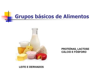 LEITE E DERIVADOS
PROTEÍNAS, LACTOSE
CÁLCIO E FÓSFORO
 