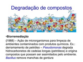 Degradação de compostos




•Biorremediação
(1988) – Ação de microrganismos para limpeza de
ambientes contaminados com produtos químicos. Ex.:
derramamento de petróleo – Pseudomonas degrada
hidrocarbonetos de cadeias longas (petróleos) e origina
compostos que possam ser assimilados pelo ambiente.
Bacillus remove manchas de gordura
 