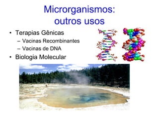 Microrganismos:
              outros usos
• Terapias Gênicas
  – Vacinas Recombinantes
  – Vacinas de DNA
• Biologia Molecular
 