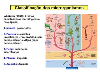 Classificação dos microrganismos
Whittaker (1969): 5 reinos
características morfólogicas e
fisiológicas:

1. Monera: procariotos

2. Protista: eucariotos
unicelulares - Protozoários (sem
parede celular) e Algas (com
parede celular)

3. Fungi: eucariotos
aclorofilados

4. Plantae: Vegetais

5. Animalia: Animais
 