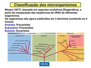 Classificação dos microrganismos
Woese (1977): baseado em aspectos evolutivos (filogenética), a
partir da comparação das seqüências de rRNA de diferentes
organismos.
Os organismos são agora subdividos em 3 domínios (contendo os 5
reinos):
Archaea: Procariotos
Eubacteria: Procariotos
Eukarya: Eucariotos
 
