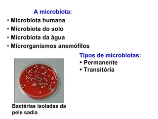 A microbiota:
• Microbiota humana
• Microbiota do solo
• Microbiota da água
• Microrganismos anemófilos
                         Tipos de microbiotas:
                          Permanente
                          Transitória




 Bactérias isoladas da
 pele sadia
 