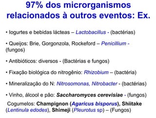 97% dos microrganismos
relacionados à outros eventos: Ex.
• Iogurtes e bebidas lácteas – Lactobacillus - (bactérias)

• Queijos: Brie, Gorgonzola, Rockeford – Penicillium -
(fungos)

• Antibióticos: diversos - (Bactérias e fungos)

• Fixação biológica do nitrogênio: Rhizobium – (bactéria)

• Mineralização do N: Nitrosomonas, Nitrobacter - (bactérias)

• Vinho, álcool e pão: Saccharomyces cerevisiae - (fungos)
 Cogumelos: Champignon (Agaricus bisporus), Shiitake
(Lentinula edodes), Shimeji (Pleurotus sp) – (Fungos)
 