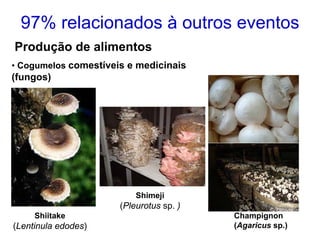 97% relacionados à outros eventos
Produção de alimentos
• Cogumelos comestíveis e medicinais
(fungos)




                          Shimeji
                      (Pleurotus sp. )
     Shiitake                            Champignon
(Lentinula edodes)                       (Agaricus sp.)
 