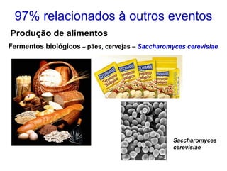 97% relacionados à outros eventos
Produção de alimentos
Fermentos biológicos – pães, cervejas – Saccharomyces cerevisiae




                                                  Saccharomyces
                                                  cerevisiae
 