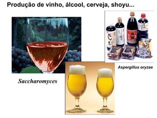 Produção de vinho, álcool, cerveja, shoyu...




                                      Aspergillus oryzae


   Saccharomyces
 