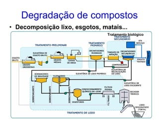 Degradação de compostos
• Decomposição lixo, esgotos, matais...
                                Tratamento biológico
 