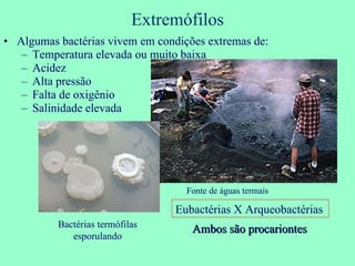 Extremófilos Algumas bactérias vivem em condições extremas de: Temperatura elevada ou muito baixa Acidez Alta pressão Falta de oxigênio Salinidade elevada Bactérias termófilas esporulando Fonte de águas termais Eubactérias X Arqueobactérias Ambos são procariontes 