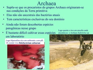 Archaea Supõe-se que os procariotos do grupos Archaea originaram-se nas condições da Terra primitiva Elas não são ancestrais das bactérias atuais Tem características exclusivas do seu domínio Ainda não foram descobertas espécies patogênicas nesse grupo É bastante difícil cultivar essas espécies em laboratório Lago quente e rico em enxofre onde encontra-se  o Archaea  Sulfolobus  sp Lago hipersalino rico em carbonato, com pH 10, nonde vive  Halobacterium salinarum 