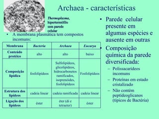 Archaea - características Parede  celular presente em algumas espécies e ausente em outras Composição química da parede diversificada:  Polissacarídeos incomuns Proteínas em estado cristalizado Não contém peptídeoglicanos (típicos de Bactéria) A membrana plasmática tem compostos  incomuns:  Thermoplasma , hipertermófilo sem parede celular Membrana Bacteria Archaea Eucarya Conteúdo protéico alto alto baixo Composição lipídica fosfolipídeos Sulfolipídeos, glicolipídeos, hidrocarbonetos ramificados, isoprenóides, fosfolipídeos Fosfolipídeos Estrutura dos lipídeos cadeia linear cadeia ramificada cadeia linear Ligação dos lipídeos éster éter (di e tetraeter) éster 