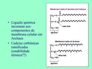 Ligação química incomum nos componentes de membrana celular em Archaea Cadeias carbônicas ramificadas (estabilidade térmica??) 