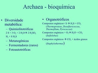 Archaea - bioquímica Diversidade metabólica:  Quimiolitotróficas 2 S + 3 O 2  + 2 H 2 O   2 H 2 SO 4 H 2  + S H 2 S  Metanogênicas Fermentadores (raros) Fotoautotróficas Organotróficos Compostos orgânicos+ S    H 2 S + CO 2  ( Thermoproteus ,  Desulfurococcus ,  Thermofilum ,  Pyrococcus ) Compostos orgânicos + O 2   H 2 O + CO 2  ( Sulfolobus ) Compostos orgânicos    CO 2  + ácidos graxos ( Staphylothermus ) 