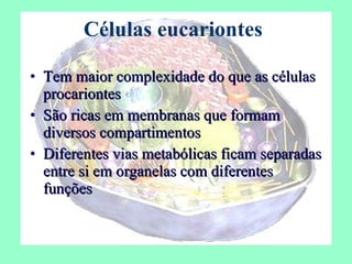 Células eucariontes Tem maior complexidade do que as células procariontes São ricas em membranas que formam diversos compartimentos Diferentes vias metabólicas ficam separadas entre si em organelas com diferentes funções 