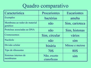 Quadro comparativo Característica Procariontes Eucariontes Exemplos bactérias ameba Membrana ao redor do material genético não Sim, carioteca Proteínas associadas ao DNA não Sim, histonas Cromossomos Sim, circular vários Nucléolo  não sim Divisão celular binária Mitose e meiose Tipo de ribossomo 70S 80S Sistemas internos de membranas Não, exceto cianofíceas sim 