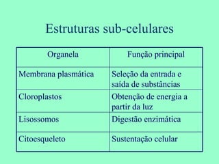 Estruturas sub-celulares Organela Função principal Membrana plasmática Seleção da entrada e saída de substâncias Cloroplastos Obtenção de energia a partir da luz Lisossomos Digestão enzimática Citoesqueleto Sustentação celular 