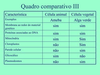 Quadro comparativo III Característica Célula animal Célula vegetal Exemplos Ameba Alga verde Membrana ao redor do material genético sim sim Proteínas associadas ao DNA sim sim Mitocôndria sim Sim Cloroplastos não Sim Parede celular não sim Glicocálice sim não Plasmodesmos não sim 