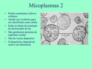 Micoplasmas 2 Podem contaminar cultivos celulares Atende aos 4 critérios para ser classificado como célula Estão no limite de resolução do microscópio de luz São geralmente parasitas da superfície celular Não há vacina disponível O diagnóstico depende de cultivo em laboratório 