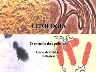 CITOLOGIA O estudo das células Curso de Ciências Biológicas 