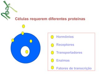 Células requerem diferentes proteínas 
Hormônios 
Receptores 
Transportadores 
Enzimas 
Fatores de transcrição 
 