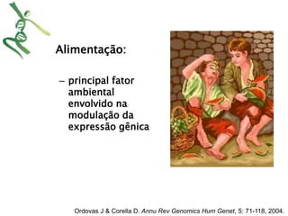 • Alimentação: 
– principal fator 
ambiental 
envolvido na 
modulação da 
expressão gênica 
Ordovas J & Corella D. Annu Rev Genomics Hum Genet, 5: 71-118, 2004. 
 