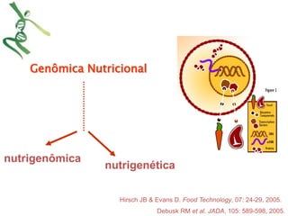 Debusk RM et al. JADA, 105: 589-598, 2005. 
Genômica Nutricional 
nutrigenômica 
nutrigenética 
Hirsch JB & Evans D. Food Technology, 07: 24-29, 2005. 
 