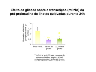 Efeito da glicose sobre a transcrição (mRNA) da 
pré-proinsulina de ilhotas cultivadas durante 24h 
2 
1,5 
1 
0,5 
0 
ilhota fresca 2,8 mM de 
glicose 
# 
22,2 mM de 
glicose 
Unidades arbitrárias 
(pré-proinsulina/ b-actina) 
** * 
**p<0,01 e *p<0,05 para comparação 
com ilhota fresca e #p<0,05 para 
comparação com 2,8 mM de glicose. 
 