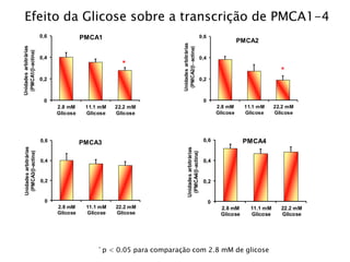 Efeito da Glicose sobre a transcrição de PMCA1-4 
0,6 
0,4 
0,2 
0 
2.8 mM 
Glicose 
11.1 mM 
Glicose 
22.2 mM 
Glicose 
Unidades arbitrárias 
(PMCA1/b-actina) 
* 
PMCA1 
0,6 
0,4 
0,2 
0 
2.8 mM 
Glicose 
11.1 mM 
Glicose 
22.2 mM 
Glicose 
Unidades arbitrárias 
(PMCA2/b-actina) 
* 
PMCA2 
0,6 
0,4 
0,2 
0 
2.8 mM 
Glicose 
11.1 mM 
Glicose 
22.2 mM 
Glicose 
Unidades arbitrárias 
(PMCA3/b-actina) 
PMCA3 
0,6 
0,4 
0,2 
0 
2.8 mM 
Glicose 
11.1 mM 
Glicose 
22.2 mM 
Glicose 
Unidades arbitrárias 
(PMCA4/b-actina) 
PMCA4 
* p < 0.05 para comparação com 2.8 mM de glicose 
 
