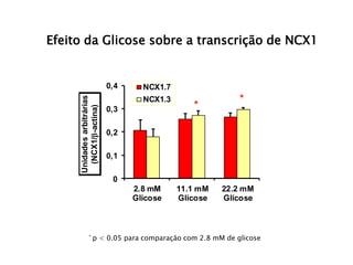 Efeito da Glicose sobre a transcrição de NCX1 
0,4 
0,3 
0,2 
0,1 
0 
2.8 mM 
Glicose 
11.1 mM 
Glicose 
22.2 mM 
Glicose 
Unidades arbitrárias 
(NCX1/b-actina) 
NCX1.7 
NCX1.3 
* 
* 
* p < 0.05 para comparação com 2.8 mM de glicose 
 