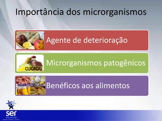 Importância dos microrganismos
Agente de deterioração
Microrganismos patogênicos
Benéficos aos alimentos
 
