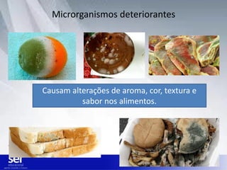 Microrganismos deteriorantes
Causam alterações de aroma, cor, textura e
sabor nos alimentos.
 
