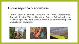 O que significa olericultura?
• Termo técnico-científico utilizado no meio agronômico.
Derivado do latim (Oleris – Hortaliça + Colere – Cultivo), refere-se
à ciência aplicada, bem como o estudo da agrotecnologia de
produção das hortaliças.
 