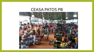 CEASA PATOS PB
 