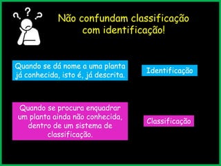 Não confundam classificação
com identificação!
Quando se dá nome a uma planta
já conhecida, isto é, já descrita.
Identificação
Quando se procura enquadrar
um planta ainda não conhecida,
dentro de um sistema de
classificação.
Classificação
 