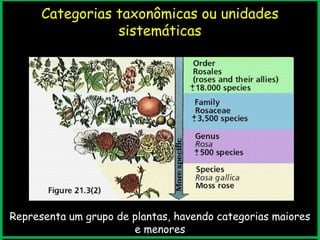 Representa um grupo de plantas, havendo categorias maiores
e menores
Categorias taxonômicas ou unidades
sistemáticas
 