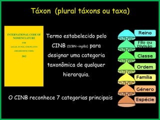 Táxon (plural táxons ou taxa)
Termo estabelecido pelo
CINB (ICBN –inglês) para
designar uma categoria
taxonômica de qualquer
hierarquia.
O CINB reconhece 7 categorias principais
 