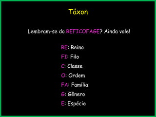 Táxon
Lembram-se do REFICOFAGE? Ainda vale!
RE: Reino
FI: Filo
C: Classe
O: Ordem
FA: Família
G: Gênero
E: Espécie
 