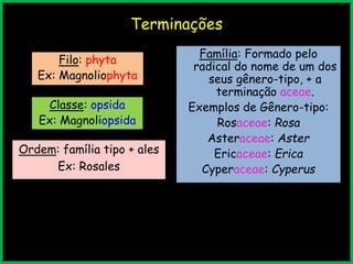 Terminações
Filo: phyta
Ex: Magnoliophyta
Classe: opsida
Ex: Magnoliopsida
Ordem: família tipo + ales
Ex: Rosales
Família: Formado pelo
radical do nome de um dos
seus gênero-tipo, + a
terminação aceae.
Exemplos de Gênero-tipo:
Rosaceae: Rosa
Asteraceae: Aster
Ericaceae: Erica
Cyperaceae: Cyperus
 