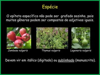 Espécie
O epíteto específico não pode ser grafado sozinho, pois
muitos gêneros podem ser compostos de adjetivos iguais.
Jambosa vulgaris Thymus vulgaris Lagenaria vulgaris
Devem vir em itálico (digitado) ou sublinhado (manuscrito).
 