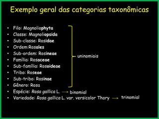 Exemplo geral das categorias taxonômicas
• Filo: Magnoliophyta
• Classe: Magnoliopsida
• Sub-classe: Rosidae
• Ordem:Rosales
• Sub-ordem: Rosineae
• Família: Rosaceae
• Sub-família: Rosoideae
• Tribo: Roseae
• Sub-tribo: Rosinae
• Gênero: Rosa
• Espécie: Rosa gallica L.
• Variedade: Rosa gallica L. var. versicolor Thory
uninomiais
binomial
trinomial
 