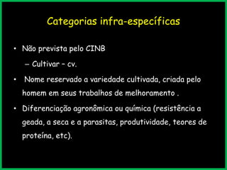 Categorias infra-específicas
• Não prevista pelo CINB
– Cultivar – cv.
• Nome reservado a variedade cultivada, criada pelo
homem em seus trabalhos de melhoramento .
• Diferenciação agronômica ou química (resistência a
geada, a seca e a parasitas, produtividade, teores de
proteína, etc).
 