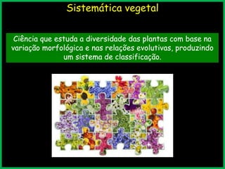 Sistemática vegetal
Ciência que estuda a diversidade das plantas com base na
variação morfológica e nas relações evolutivas, produzindo
um sistema de classificação.
 