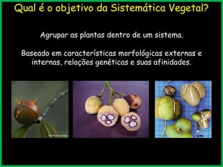 Qual é o objetivo da Sistemática Vegetal?
Agrupar as plantas dentro de um sistema.
Baseado em características morfológicas externas e
internas, relações genéticas e suas afinidades.
 