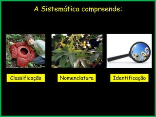A Sistemática compreende:
Classificação IdentificaçãoNomenclatura
 