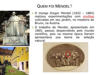 QUEM FOI MENDEL?
 O monge Gregor Mendel (1822 – 1884)
realizou experimentações com ervilhas
cultivadas em seu jardim, no mosteiro de
Brunn, na Áustria.
 O trabalho de Mendel, apresentado em
1865, passou despercebido pelo mundo
científico, pois na mesma época Darwin
apresentava sua teoria da seleção
natural.
 