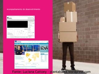 Acompanhamento do desenvolvimento Fonte: Luciana Cattony – plantabaixa.wordpress.com 