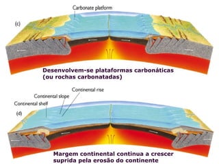 Desenvolvem-se plataformas carbonáticas
(ou rochas carbonatadas)




   Margem continental continua a crescer
   suprida pela erosão do continente
                                           Fig. 20.17c
 